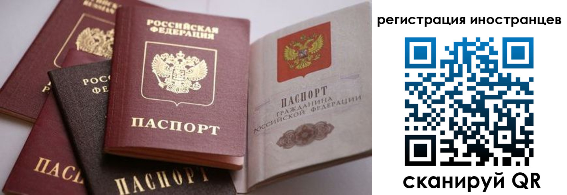 прописка штамп в Порхове