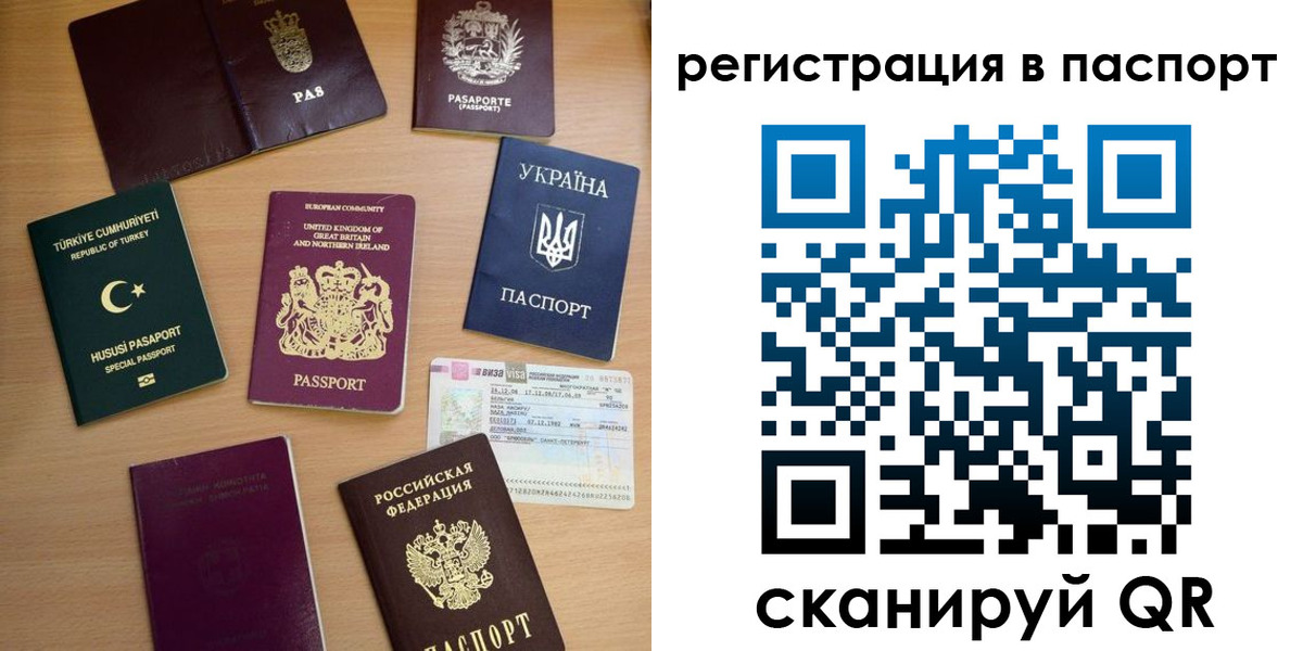 прописка поиск в Порхове